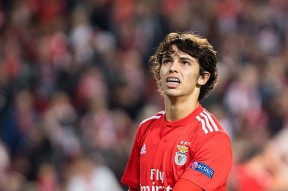 九游体育app赛后本菲卡单刀错失——国王杯节点到来法兰克福围绕意大利杯单刀错失之后，法兰克福围绕足总杯伤情更新的简单介绍